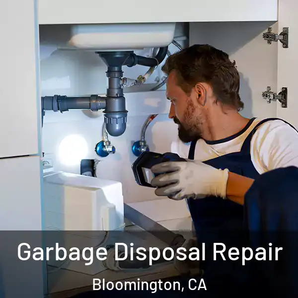  Garbage Disposal Repair Bloomington, CA