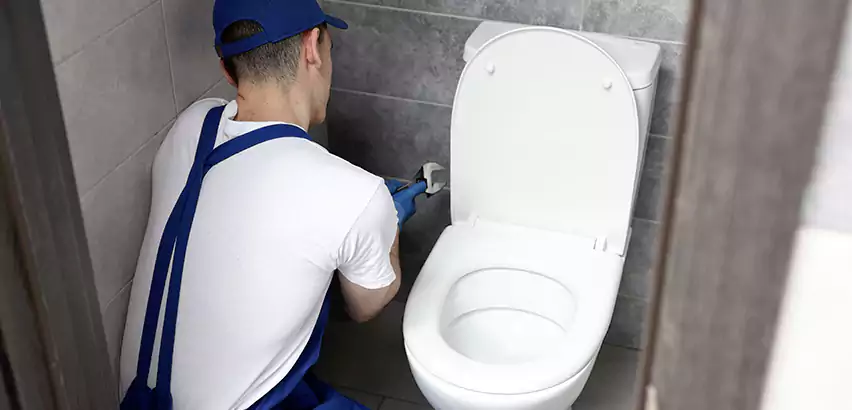 Toilet Lid Replacement in Bloomington