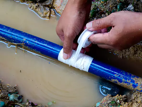  Why Choose Bloomington Plumbing Service for Leak Detection in Bloomington, CA?]