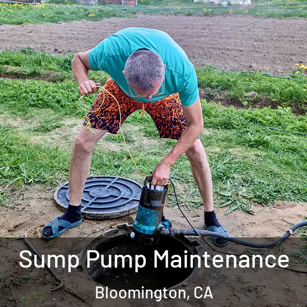  Sump Pump Maintenance Bloomington, CA