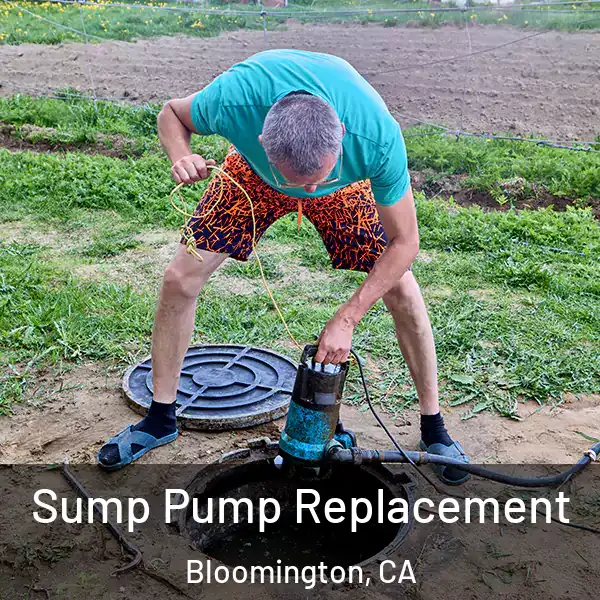  Sump Pump Replacement Bloomington, CA