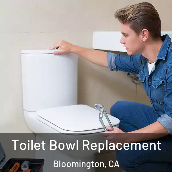  Toilet Bowl Replacement Bloomington, CA