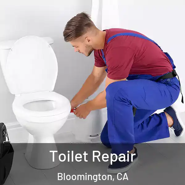  Toilet Repair Bloomington, CA