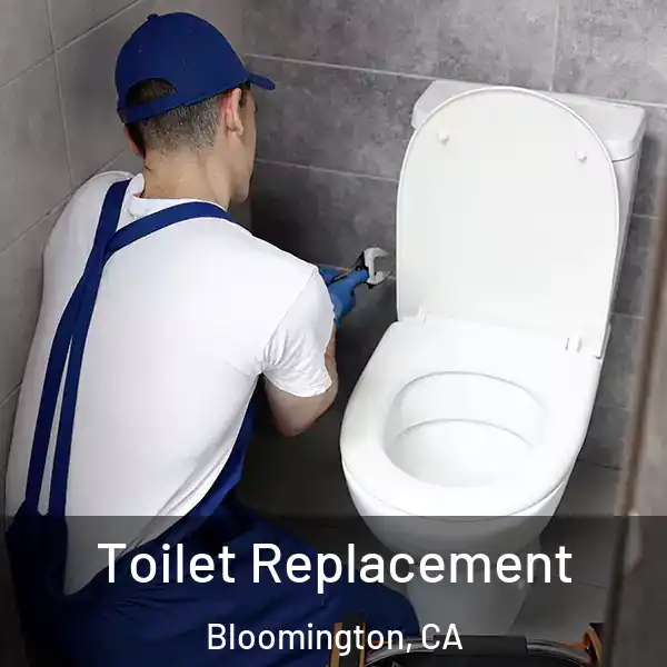  Toilet Replacement Bloomington, CA